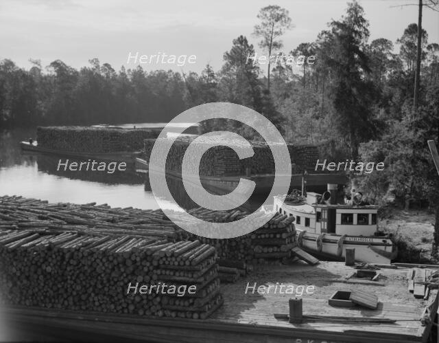 Pulpwood going down the River Styx to Mobile by inland waterway, near Robertsdale, Alabama, 1937. Creator: Dorothea Lange.