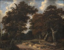 Road through an Oak Forest, 1646-1647. Creator: Jacob van Ruisdael.
