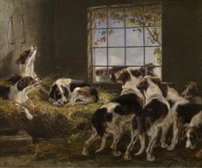 A Pack of Hounds, 1871. Creator: V Witte.