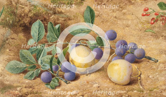 Plums, 1870. Creator: John William Hill.