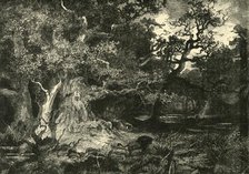 'An Old German Forest', 1890.   Creator: Unknown.