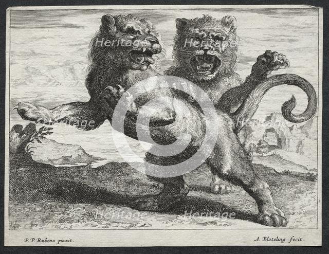 Various Lions. Creator: Abraham Blooteling (Dutch, 1640-1690).