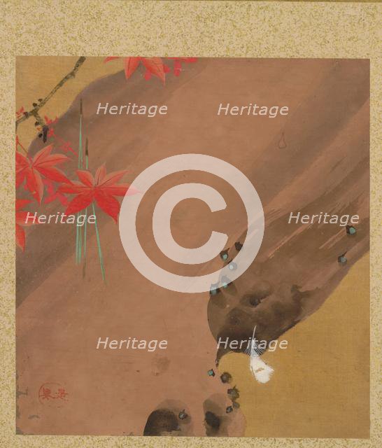 Leaf from Album of Seasonal Themes: Moths, 1847. Creator: Shibata Zeshin (Japanese, 1807-1891).