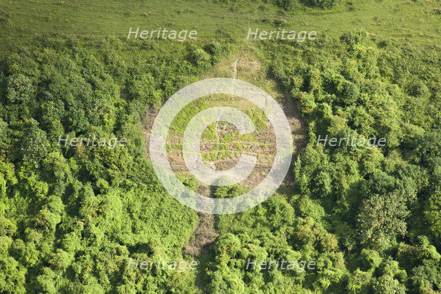 Chalk military badge of the Royal Warwickshire regiment, near Sutton Down, Wiltshire, 2014. Creator: Historic England Staff Photographer.