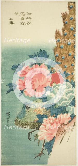 Peacock and peonies, 1830s. Creator: Ando Hiroshige.