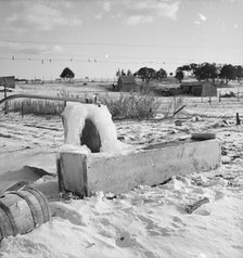 Short growing season, Utah, 1936. Creator: Dorothea Lange.