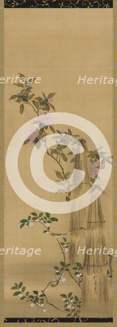 Pink and white flowers and straw coverings, Edo period, 1761-1828. Creator: Sakai Hoitsu.