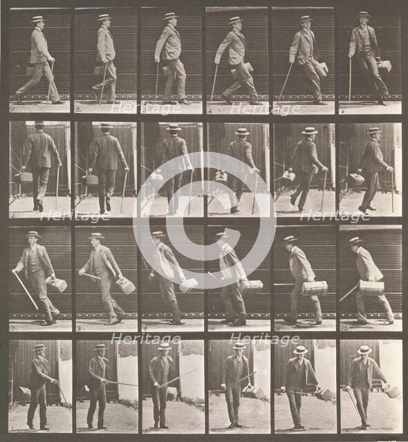 Animal Locomotion. An Electro-Photographic Investigation... of Animal Movements. Commence..., 1880s. Creator: Eadweard J Muybridge.