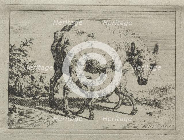 The Ewe and Two Lambs, 1670. Creator: Adriaen van de Velde (Dutch, 1636-1672).