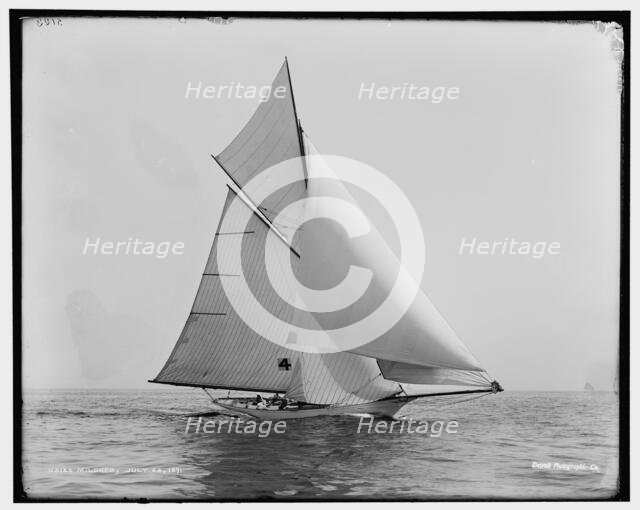 Mildred, 1891 July 22. Creator: Unknown.