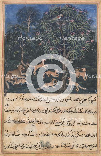 Page from Tales of a Parrot (Tuti-nama): Fifth night: The parrot mother cautions..., c. 1560. Creator: Daswanth (Indian).