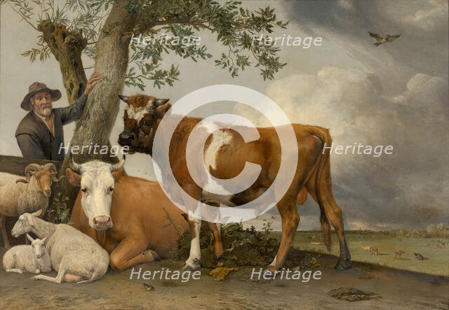 The Bull. Creator: Paulus Potter.