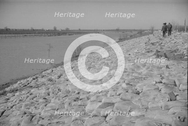 The Bessie Levee augmented with sand bags...1937 flood, Near Tiptonville, Tennessee, 1937. Creator: Walker Evans.