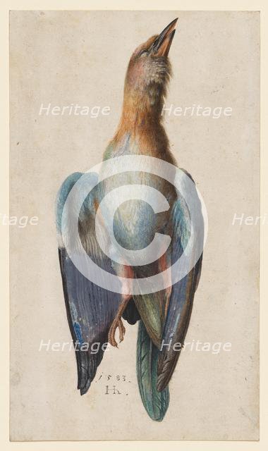 Dead Blue Roller, 1583. Creator: Hans Hoffmann (German, 1545/50-1591/92).