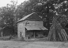 Tobacco barn near Gordonton, North Carolina, 1939. Creator: Dorothea Lange.