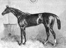 "General Peel", the winner of the Two Thousand Guineas at the Newmarket Spring Meeting, 1864. Creator: Unknown.