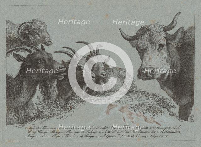 Study of Heads: Three Goats, an Ox, and a Ram, published c. 1783. Creator: Francesco Londonio.