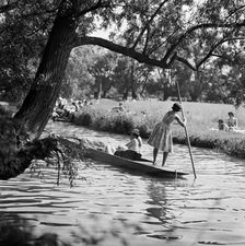 Punting on the River Cam near Grantchester, Cambridgeshire, 1960. Artist: John Gay