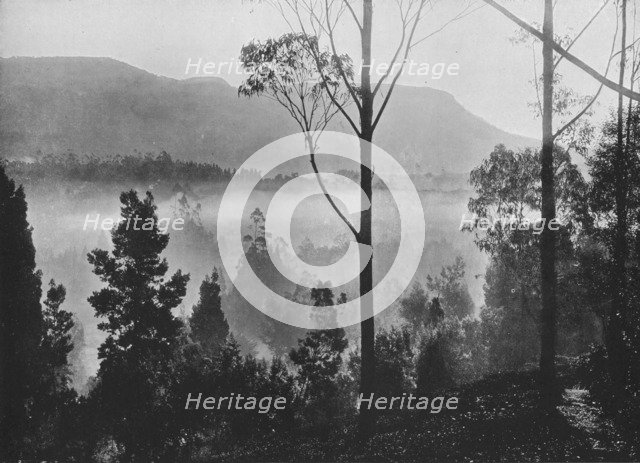 'The Early Morning Mist Rising at Nuwara Eliya', c1890, (1910). Artist: Alfred William Amandus Plate.