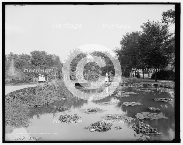 Lily pond, Belle Isle Park, Detroit, Mich., c.between 1900 and 1910. Creator: Unknown.