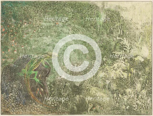 Lizard on a stone, 1878-1917. Creator: Theo van Hoytema.