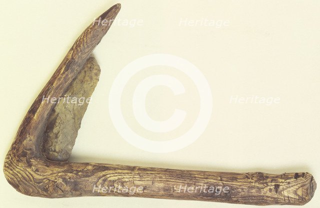 Prehistoric sickle. Artist: Unknown
