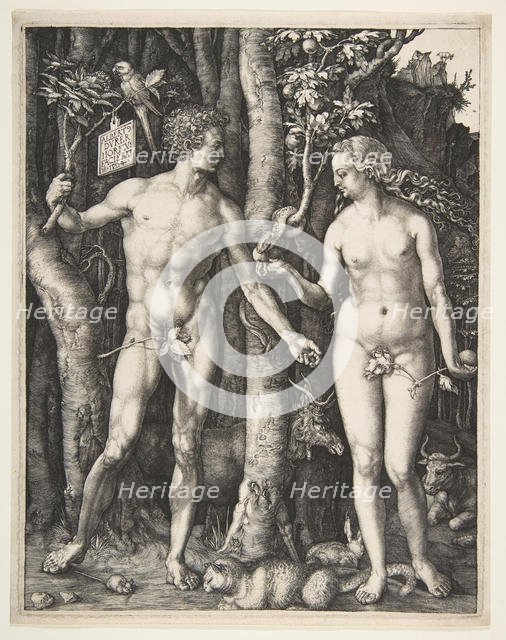 Adam and Eve, 1504. Creator: Albrecht Durer.
