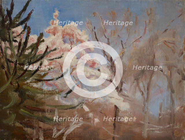 Sudak, 1904. Creator: Jan Ciaglinski.