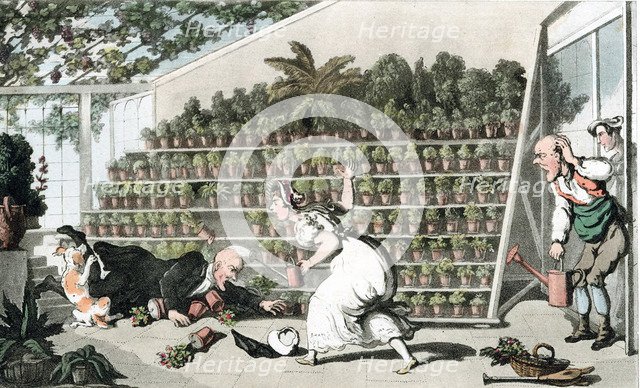 'Misfortune in the Tulip Hall', c1816. Artist: Thomas Rowlandson