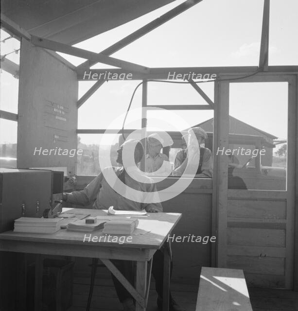 Manager of mobile unit (FSA), on day camp opened..., Merrill, Klamath County, Oregon, 1939. Creator: Dorothea Lange.