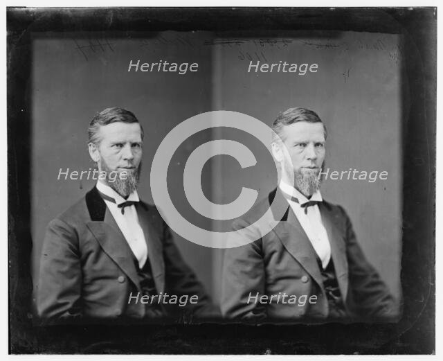 William A. Wallace of Pennsylvania, 1865-1880. Creator: Unknown.