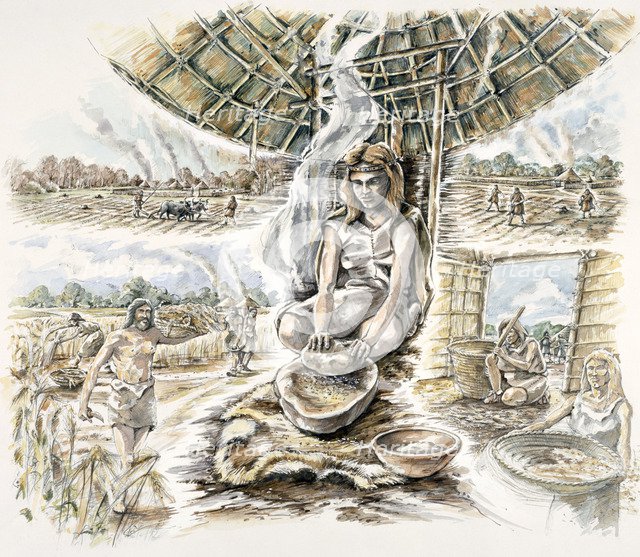 Neolithic Grain Production, (c1990-2010). Artist: Peter Dunn.