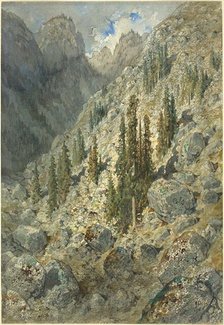 An Alpine Valley with Trees and Boulders, 1876. Creator: Gustave Doré.