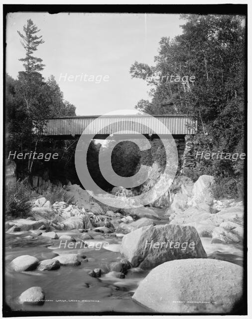 Clarendon Gorge, Green Mountains, between 1900 and 1906. Creator: Unknown.