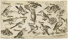 Twelve types of birds, including an owl and pelican, individually labelled and positioned..., 1572.  Creator: Virgil Solis.