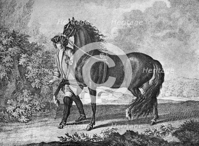Italian Neapolitan horse, 1722 (1938). Artist: Unknown
