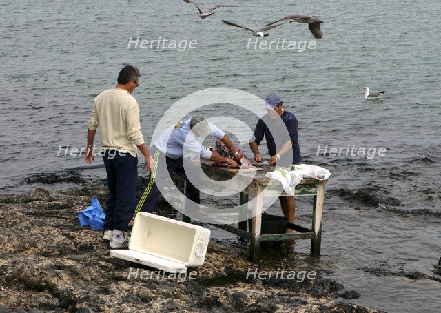 Cleaning Fish, Corralejo, Fuerteventura, Canary Islands.