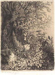 La bardane au saule (Burdock with Willow), published 1849. Creator: Eugene Blery.