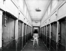 The central corridor of the vivarium (animal house) with cages for the animals, in the..., 1904. Creator: Unknown.