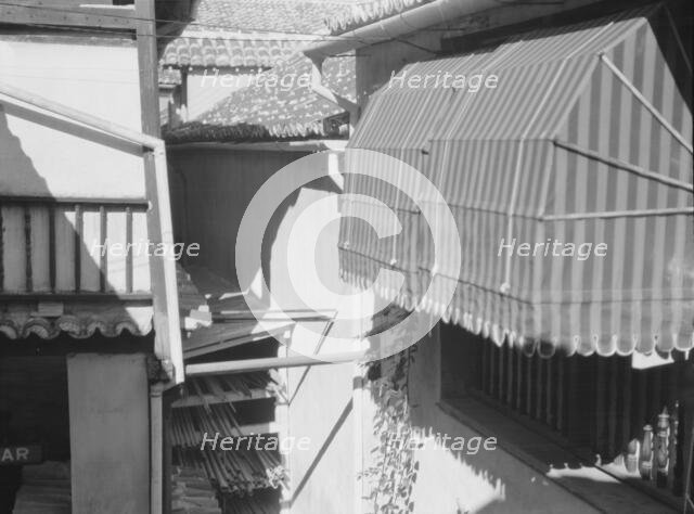 Travel views of Cuba and Guatemala, between 1899 and 1926. Creator: Arnold Genthe.