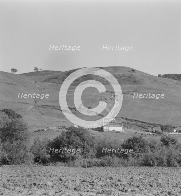 Soil erosion in California hills, small dairy ranch near Gibson, California, 1937. Creator: Dorothea Lange.