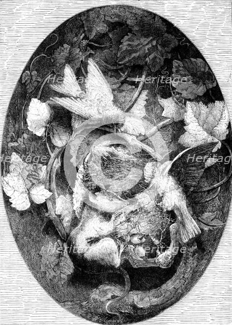 The International Exhibition: "Linnets Defending their Nest against a Dormouse"..., 1862. Creator: Unknown.
