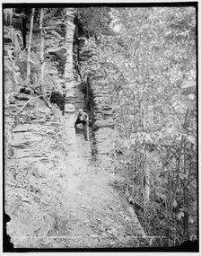 The Trail, Taughannock Falls, N.Y., between 1890 and 1901. Creator: Unknown.