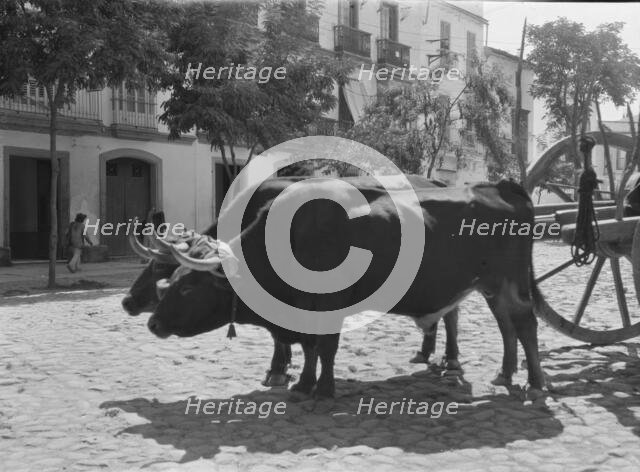 Travel views of Europe, between 1904 and 1938. Creator: Arnold Genthe.