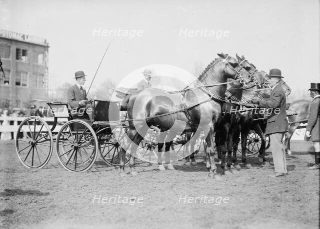 Horse Shows - Judging Team, 1911. Creator: Harris & Ewing.