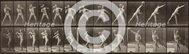 Animal Locomotion, Plate 319, 1887. Creator: Eadweard J Muybridge.