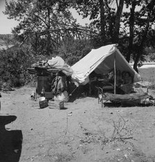 Camp of migratory family originally from Texas in "Ramblers Park", Yakima Valley, Washington, 1939. Creator: Dorothea Lange.