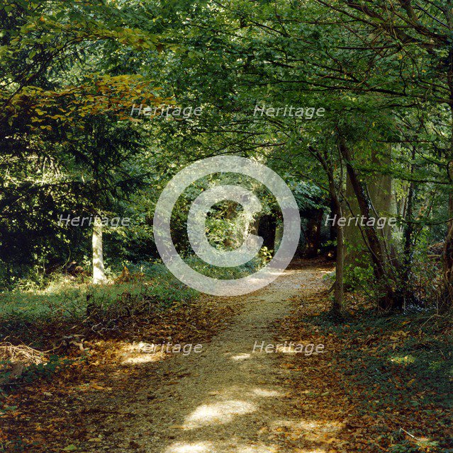 Sandwalk path, Down House, Downe, Kent, c1980-c2017. Artist: Historic England Staff Photographer.