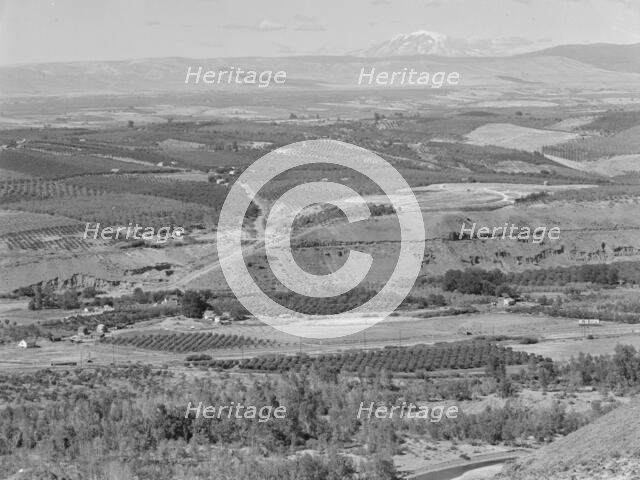 Looking down on part of the Valley, approximately six miles from Yakima, Washington, 1939. Creator: Dorothea Lange.