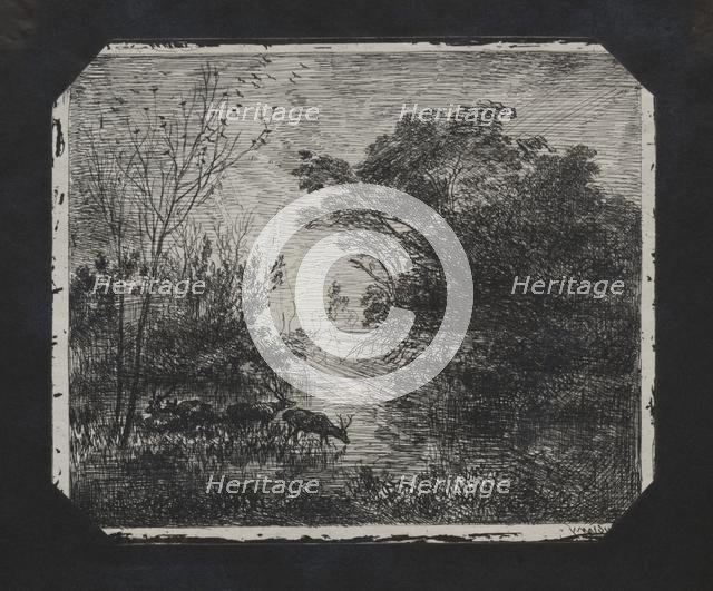 The Deer, 1862. Creator: Charles François Daubigny (French, 1817-1878).